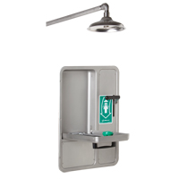 Eye/Face Wash and Shower, Ceiling-Mount SGC296 | Duraquip Inc