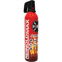 Fire Extinguisher, ABC/K, 2 lbs. Capacity SGC461 | Duraquip Inc