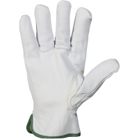 Gants r&eacute;sistant &agrave; la coupure et &agrave; l'arc &eacute;lectrique Endura, T-petit, 10" lo, 36 cal/cm², Niveau 3, NFPA 70E Duraquip Inc