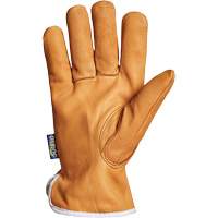 Gants de conducteur Endura, Petit, Paume en Cuir fleur de ch&egrave;vre, Thinsulate Duraquip Inc