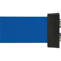 Barrière à fixation murale avec ruban magnétique, Acier, Fixation par vis, 7', Ruban Bleu SGR025 | Duraquip Inc