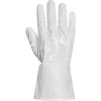 Ground Hog Electro-Static Spray Painting Gloves, Size Large, 11.5" L, Polyurethane Duraquip Inc