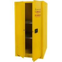 Flammable Storage Cabinet, 60 gal., 2 Door, 34" W x 65" H x 34" D Duraquip Inc