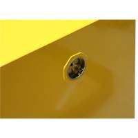 Armoire pour produits inflammables, 4 gal., 1 Porte(s), 17" La x 22" h x 18" p Duraquip Inc