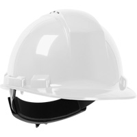 Dynamic Whistler Hardhat, Meets CSA Type 1, Ratchet Suspension, Vented Duraquip Inc