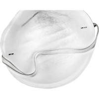 Disposable Nuisance Dust Mask Duraquip Inc