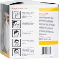 Disposable Nuisance Dust Mask Duraquip Inc