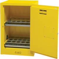 Armoire de rangement pour a&eacute;rosols inflammables, 12 gal., 1 Porte(s), 23" La x 35" h x 18" p Duraquip Inc