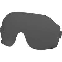 Eye Visor Replacement Lenses, Grey/Smoke Tint Duraquip Inc