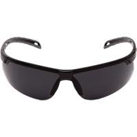 Ever-Lite&reg; Safety Glasses, Dark Grey Lens, ANSI Z87+/Meets/Exceeds CSA Z94.3 Duraquip Inc