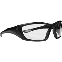 Lunettes de s&eacute;curit&eacute; Nevosa, Lentille Transparent, Polaris&eacute;/Pare-vapeur, ANSI Z87+/R&eacute;pond ou surpasse la norme CSA Z94.3 Duraquip Inc