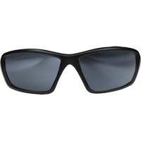 Robson Safety Glasses with Gasket, Silver Mirror Lens, Anti-Scratch/Polarized, ANSI Z87+/MCEPS GL-PD 10-12/Meets/Exceeds CSA Z94.3 Duraquip Inc