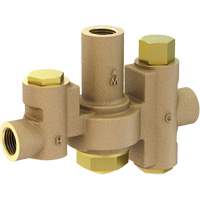 Mid-Capacity Thermostatic Mixing Valve for Individual Eye/Face Wash Stations, 2 - 35.1 GPM Duraquip Inc