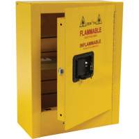 Armoire de s&eacute;curit&eacute; miniature pour produits inflammables, 2 gal., 1 Porte(s), 17" La x 22" h x 8" p Duraquip Inc