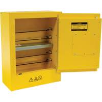 Armoire de s&eacute;curit&eacute; miniature pour produits inflammables, 2 gal., 1 Porte(s), 17" La x 22" h x 8" p Duraquip Inc