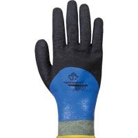 Gants r&eacute;sistants &agrave; la coupe &agrave; rev&ecirc;tement double SCXPNTFC, Taille 6, Calibre 13, Rev&ecirc;tement Nitrile, Enveloppe en ParaActiv, ASTM ANSI niveau A5 Duraquip Inc