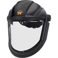 Face Protection