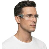 Adapt Lite Grey/Green Safety Glasses, Clear Lens, Anti-Fog/Anti-Scratch, ANSI Z87+/Meets/Exceeds CSA Z94.3 Duraquip Inc