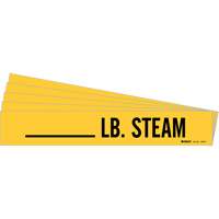Marqueurs de tuyau LB. Steam, Autocollant, 2-1/4" h x 2-3/4" la, Noir sur jaune Duraquip Inc