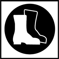 &eacute;tiquettes avec pictogramme Right to Know - Bottes, Vinyle, Feuille, 5/8" lo x 3/4" la Duraquip Inc