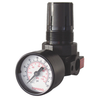 Mini Regulators, 1/4" NPT, 165 PSI Max. PSI, Modular Duraquip Inc