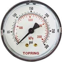 Replacement Pressure Gauge, 2" , 0 - 175 psi, Back Mount, Analogue Duraquip Inc