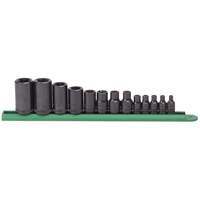 Jeu de douilles externes Torx, Prise 1/2"/1/4"/3/8" Duraquip Inc