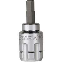 Jeu de douilles &agrave; embouts SAE/m&eacute;triques Pass-Thru, Hexagonale/Phillips/Fente/Torx, Prise 1/4"/3/8", 39 mrcx Duraquip Inc