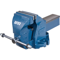 &eacute;tau d'&eacute;tabli robuste, Largeur des m&acirc;choires 5", Profondeur de la gorge 3-3/10" Duraquip Inc