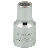 Socket, 3/16", 1/4" Drive, 12 Points Duraquip Inc