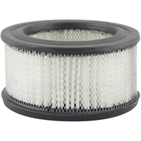 Automotive Filters