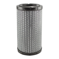 RS5761 &eacute;l&eacute;ment filtrant pour l'air d'habitacle avec joint radial Duraquip Inc