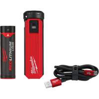 Trousse d'alimentation et de chargeur USB Redlithium<sup>MC</sup>, 4 V, Lithium-ion UAG279 | Duraquip Inc