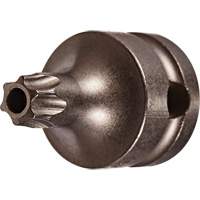 Embout &agrave; ins&eacute;rer, Torx inviolable, 25 x 1" lo, Prise 3/8" Duraquip Inc
