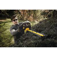 Taille-haie sans fil Max, 22", 20 V, &agrave; pile Duraquip Inc