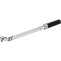 Cl&eacute; dynamom&eacute;trique &agrave; microm&egrave;tre, &agrave; cliquer, Entraînement 3/8" carr&eacute;, 10,17 - 105,1 N,m/5 - 75 lb-pi Duraquip Inc