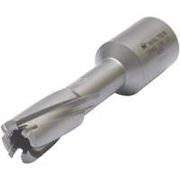 Core Cut Annular Cutter with Weldon Shank, 12 mm Diameter, Carbide, 30 mm Depth of Cut, 3/4" Shank Duraquip Inc
