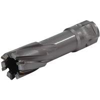 Universal Shank Annular Cutter, 1/2" Diameter, Carbide, 1" Depth of Cut, 3/4" Shank Duraquip Inc