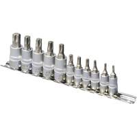 SS1438-11T Jeu de douilles chrom&eacute;es, Torx, Prise 1/4"/3/8", 10 mr Duraquip Inc