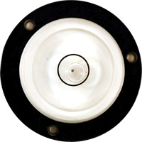 Niveau Bull's-Eye Duraquip Inc