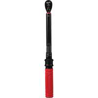 Cl&eacute; dynamom&eacute;trique, &agrave; cliquer, Entraînement 3/8" carr&eacute;, 20 - 100 lb-po/27,1 - 135,6 Nm Duraquip Inc