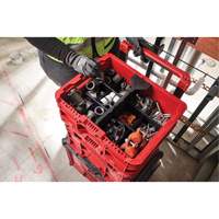 PACKOUT Low-Profile Crate, 15" x 18-5/8" x 6-5/8", Black/Red Duraquip Inc