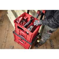 PACKOUT XL Crate, 15-3/4" x 18-5/8" x 15", Black/Red Duraquip Inc