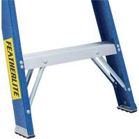 Industrial Duty Stepladders (6300 Series), 4', Fibreglass, 250 lbs. Capacity, Type 1 Duraquip Inc