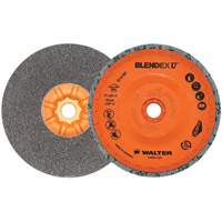 Blendex U Finishing Cup Disc, 5" Dia., Fine Grit, Silicon Carbide Duraquip Inc