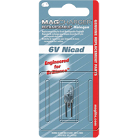 Ampoule de rechange pour lampe de poche rechargeable Duraquip Inc