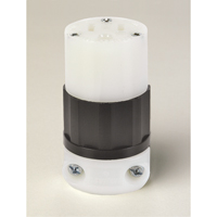 Grounding Straight Blade Connector, 5-15R, Nylon Duraquip Inc