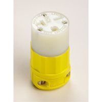 2-Pole 3-Wire Grounding Straight Blade Connector, 5-20P, Nylon Duraquip Inc