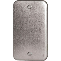 Blank Wall Plate Duraquip Inc