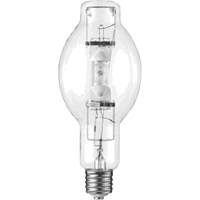 Ampoules de rechange XC454 | Duraquip Inc